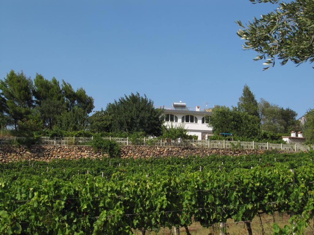 Villa Maria ดอร์กาลี ภายนอก รูปภาพ